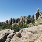 The Black Hills